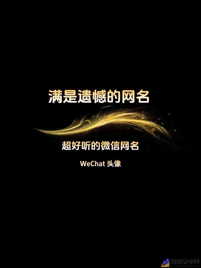 yw52777 最新网名引发热潮，成为网络焦点